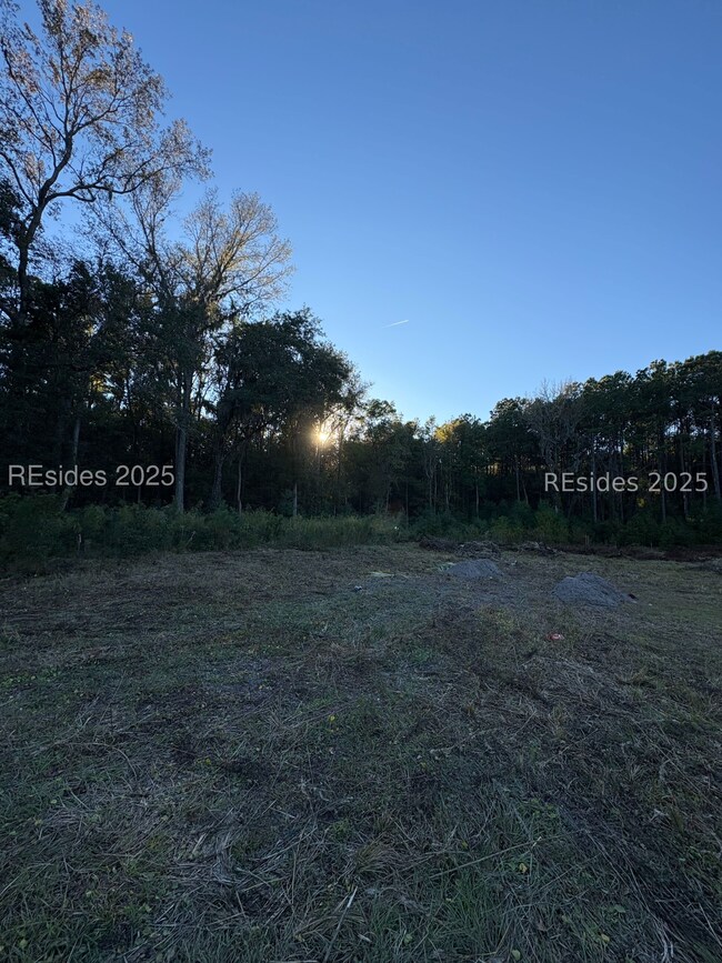 0 Simmonsville Rd unit 502506, Bluffton, SC 29910 - photo 2