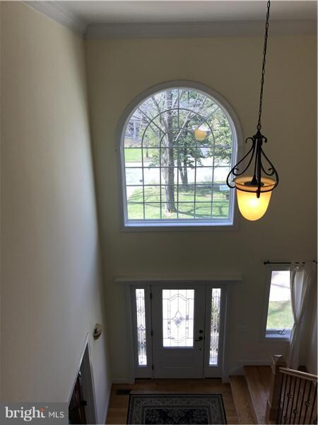 322 Grove Ave, Falls Church, VA 22046 - photo 4