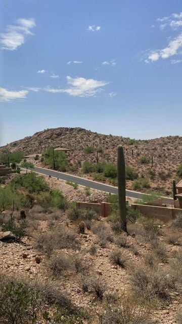 Southwest Views