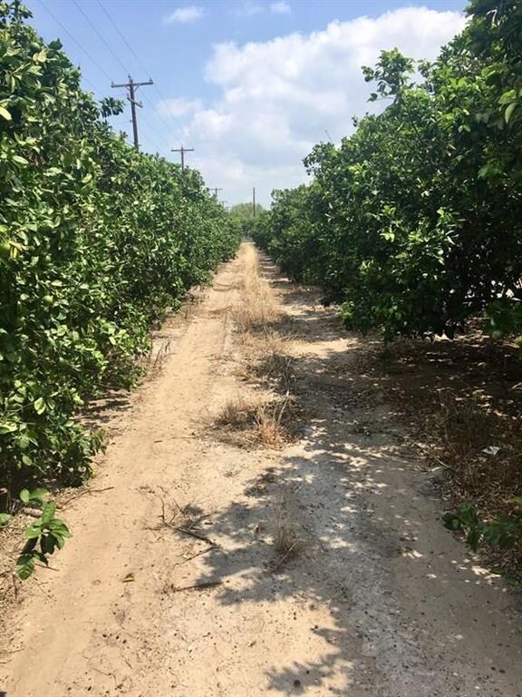 300 N Hutto Rd, Donna, TX 78537 - photo 4