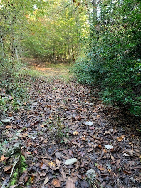 00 Scenic Heights Rd, West Union, SC 29696 - photo 5