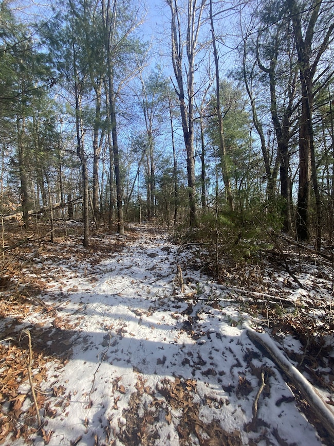 121 Sturbridge Rd, Brimfield, MA 01010 - photo 6