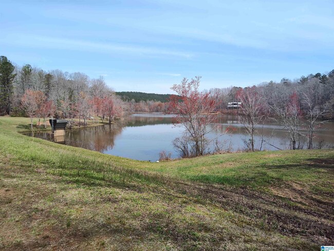 0 Slaughter Mill Rd Unit 21380206, Ashland, AL 36251 | MLS# 21380206 ...