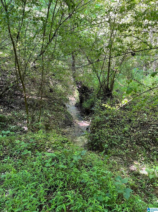 0 Morton Rd unit 21423587, Oneonta, AL 35121 - photo 5