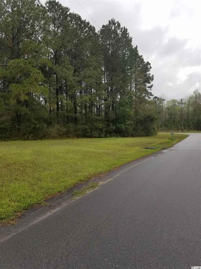 Turtle Creek Drive View