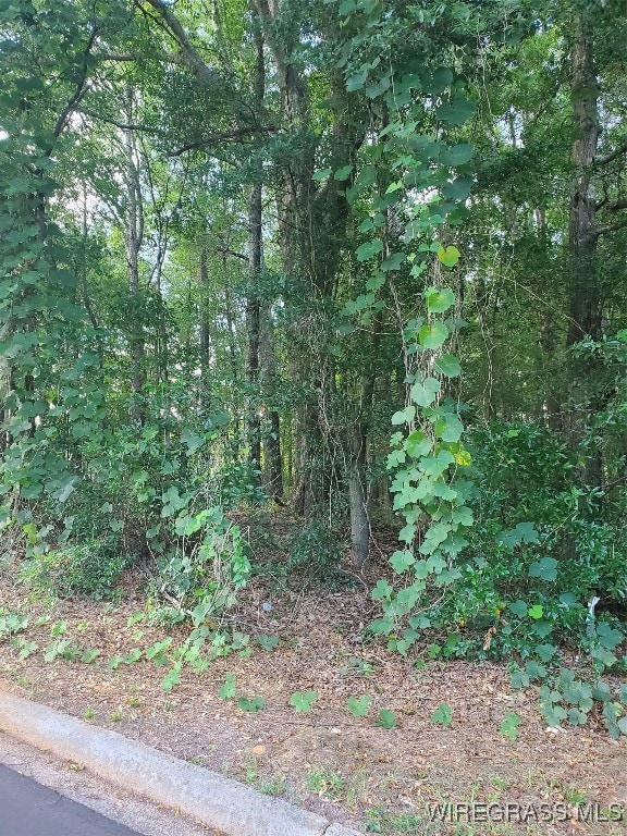 2.33 acres Parker Rd, Ozark, AL 36360 - photo 4