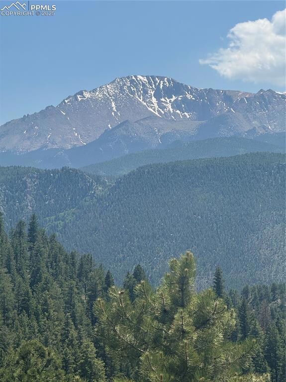 View of mountain background with a heavily wooded area