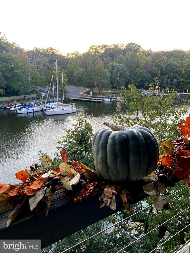 13 Spa Creek Landing unit 13A2, Annapolis, MD 21403 - photo 3