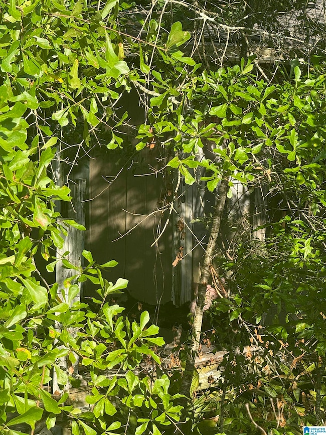 1162 County Road 40, Salem, AL 36874 - photo 2