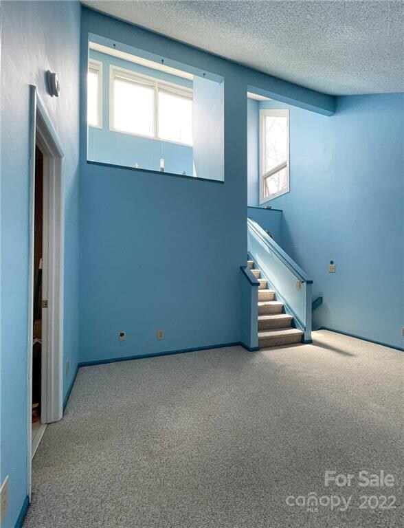 Master Bedroom to the loft.  Only carpet in the house.