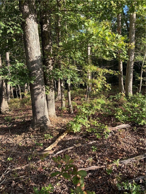 945 Fawn Haven Dr, Midlothian, VA 23113 - photo 4