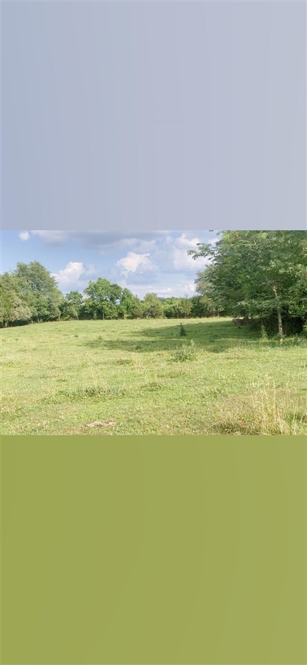 2700 Girkin Rd, Bowling Green, KY 42101 - photo 2