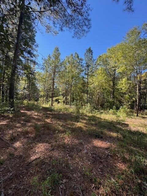 0 Poplar Creek Dr unit 25028030, Elloree, SC 29047 - photo 5