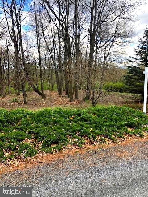 lot 37 Castlegreen Dr, Antrim Township, PA 17225 - photo 2