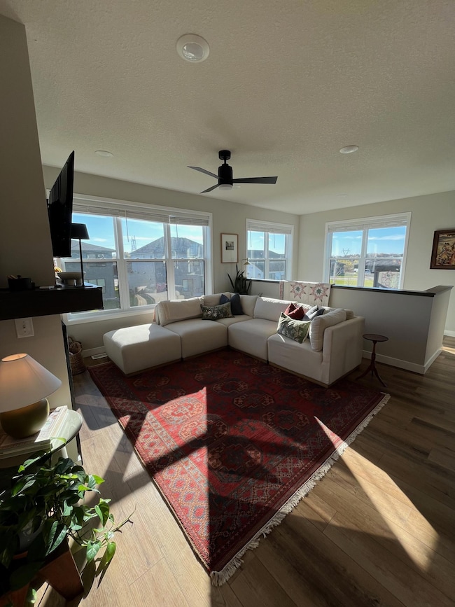Living room with south and west natural light