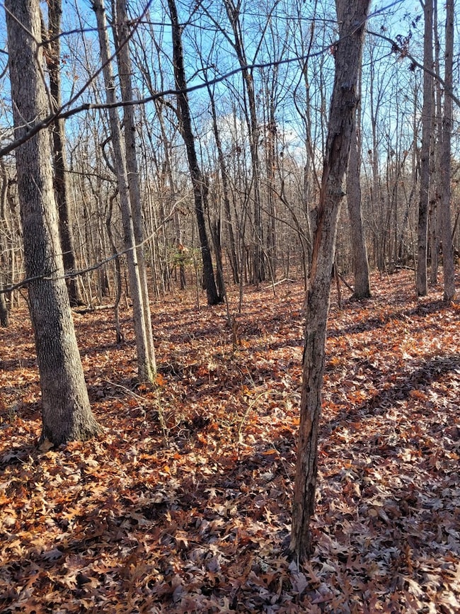 0 Hawks Bluff Rd unit RTC3051170, Spencer, TN 38585 - photo 6