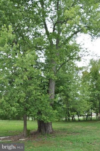 41 Meetinghouse Lane A, Aldie, VA 20105 - photo 5