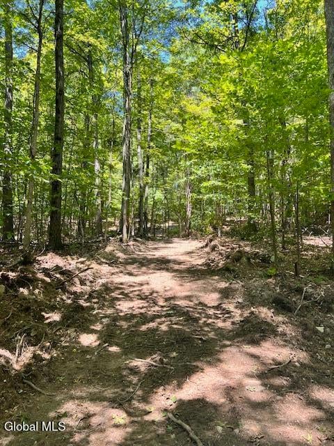 L7.41 Summit Lake Rd, Argyle, NY 12809 - photo 4