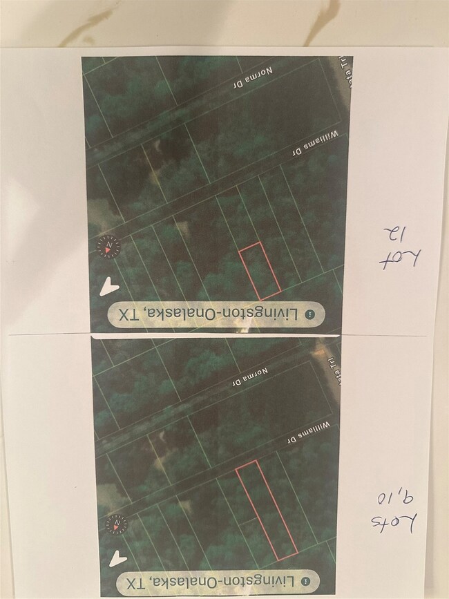 TBD Williams Dr, Livingston, TX 77351 - photo 3