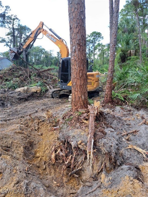 2004 Canton Ave, Alva, FL 33920 - photo 4