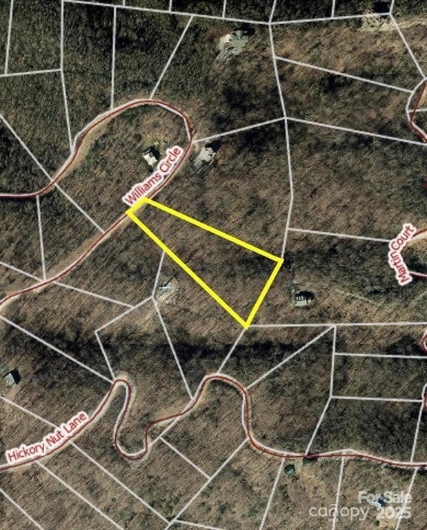 0 Williams Cir unit 337, Lake Lure, NC 28746 - photo 2