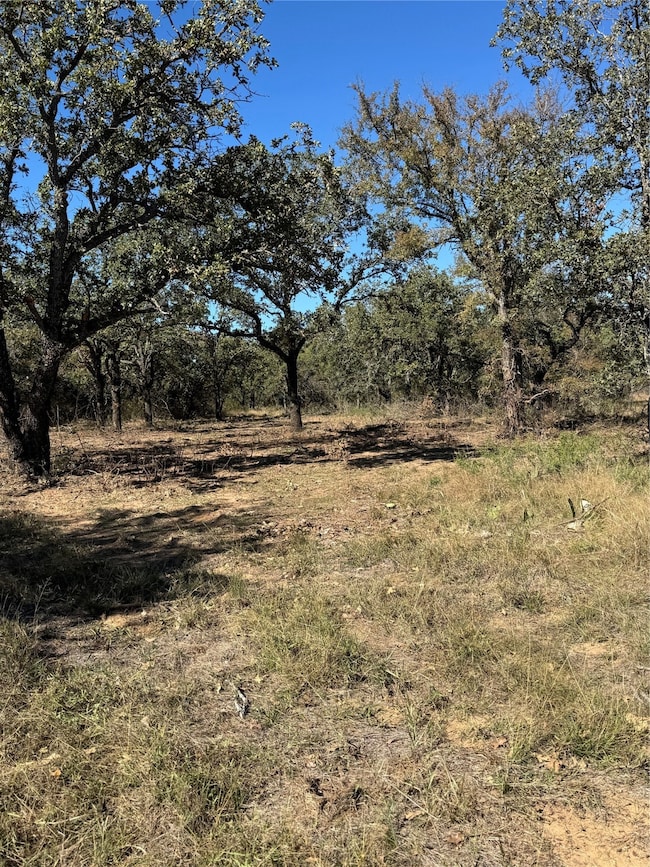 2112-A County Road 126, Gordon, TX 76453 - photo 6