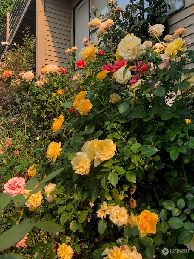 4260 E Mercer Way, Mercer Island, WA 98040 - photo 6