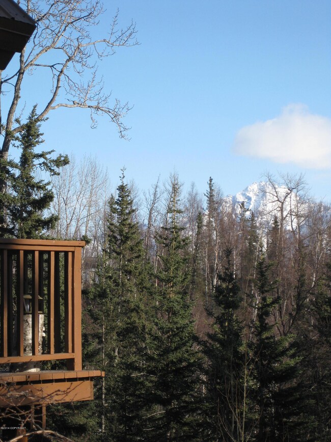 6250 E Upper Ct, Palmer, AK 99645 - photo 7