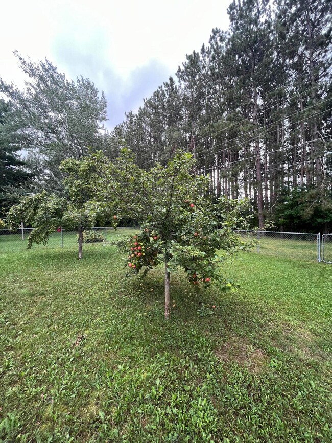 fruit trees