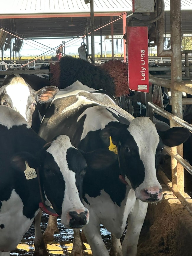 10255 Manning Ave, Fresno, CA 93706 - photo 2