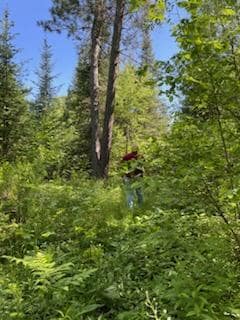 Lt1 U S Highway 51, Harshaw, WI 54529 - photo 5