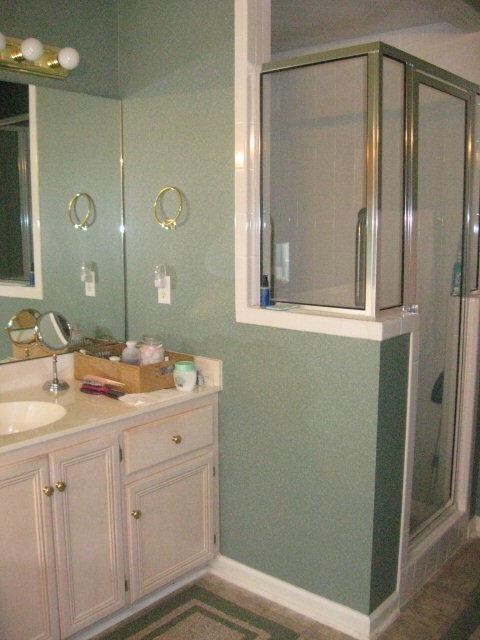 Master bath shower