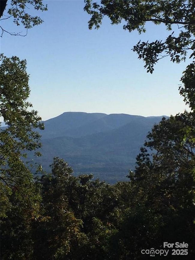 00 Morning Ride Dr unit 38, Columbus, NC 28722 - photo 5