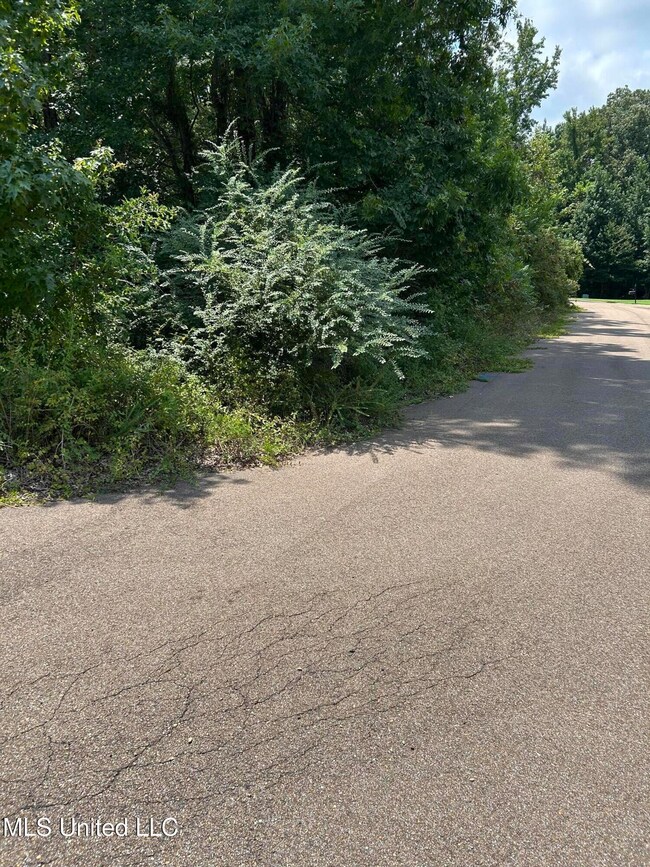 Rowan Oak - Lot 38 - Fable Cove