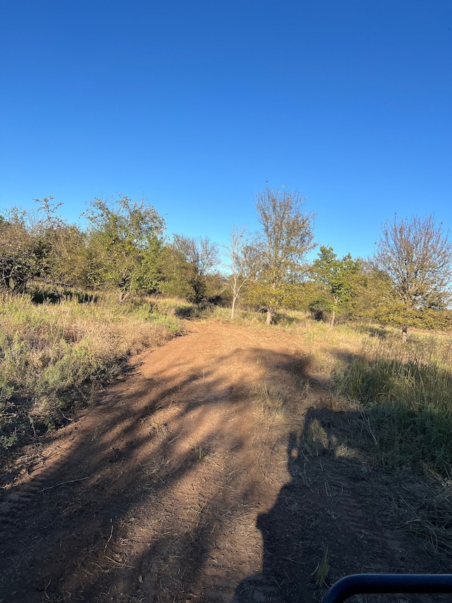 635 Big Valley Cir, Lipan, TX 76462 - photo 6