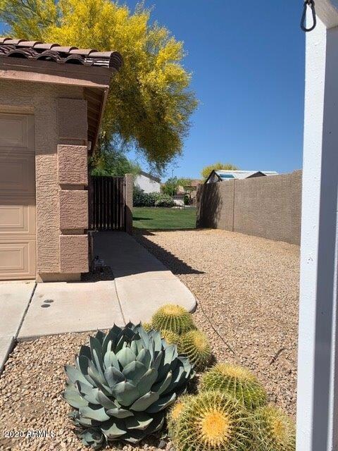 Front Side Yard