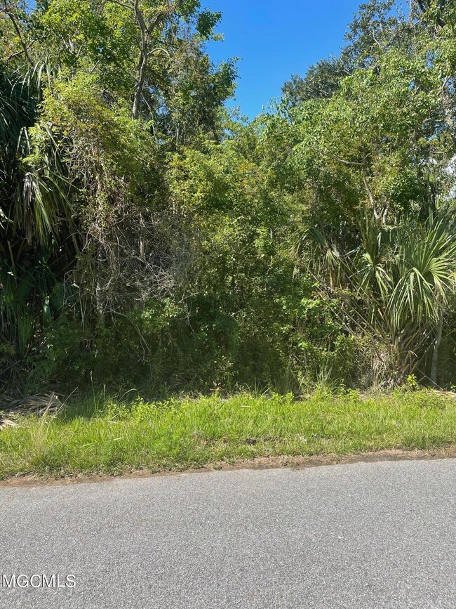 image1 (46)