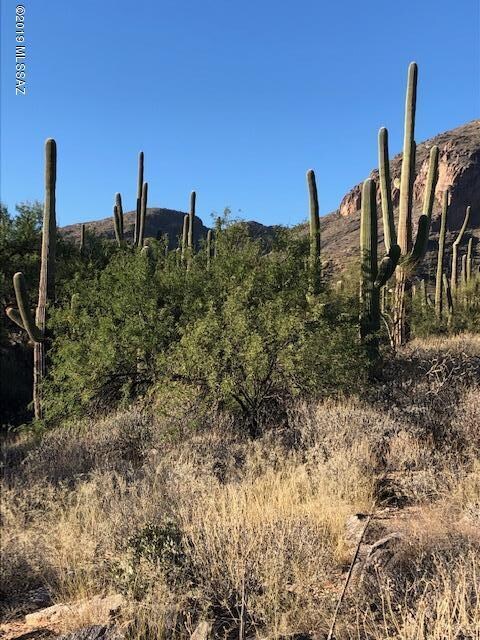 Unobstructed views up west wash