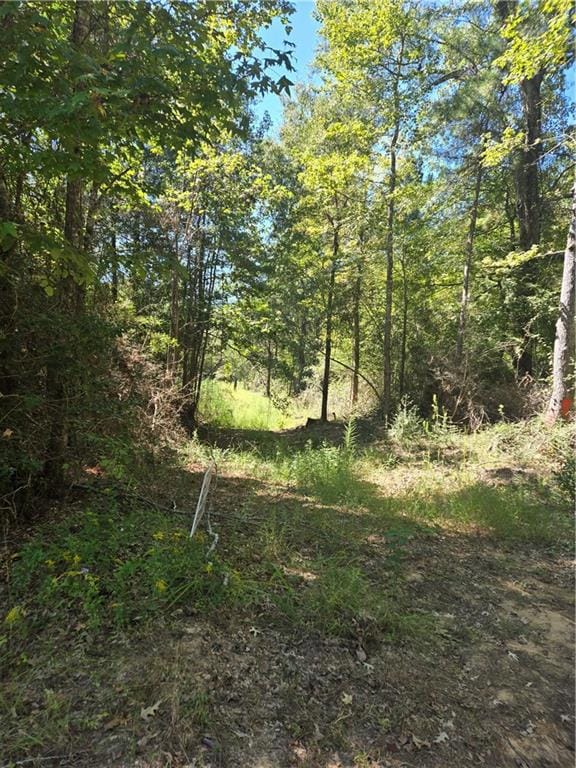 0 Riser Rd, Sikes, LA 71473 - photo 3