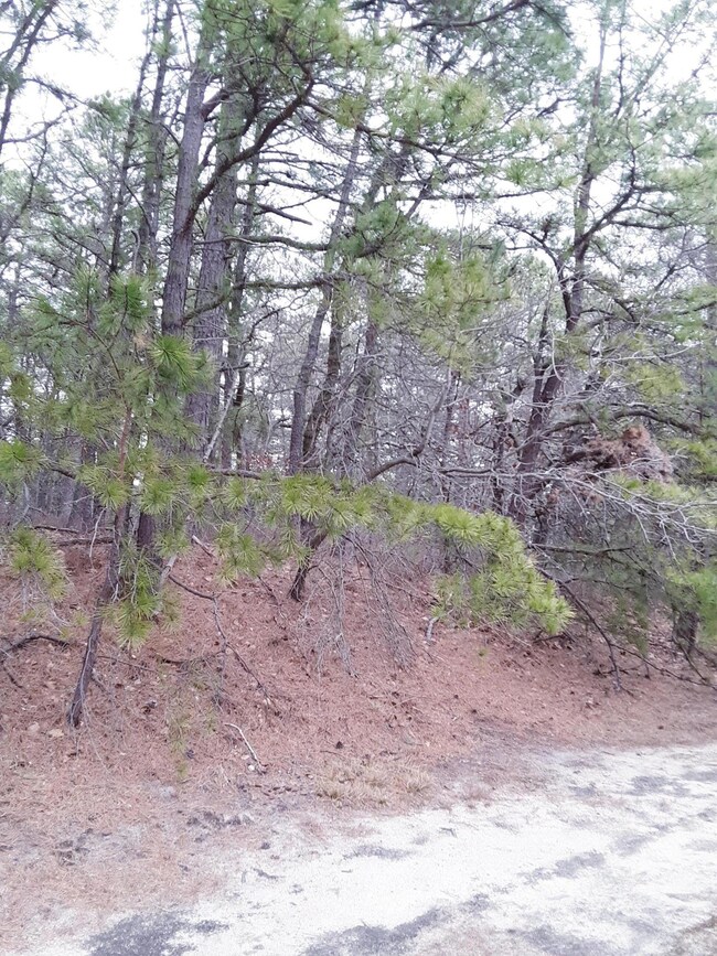 55E Milford Ave unit 53, Whiting, NJ 08759 - photo 3