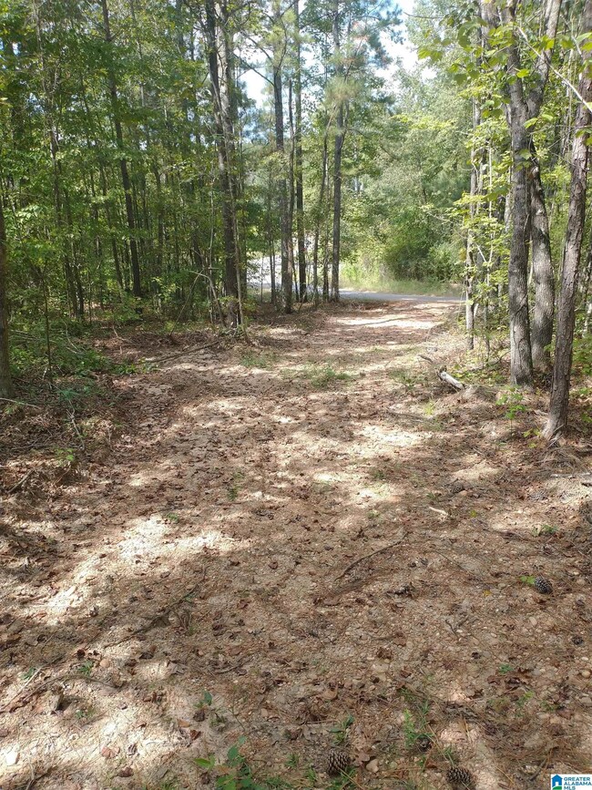 334 Serenity Ln, Alpine, AL 35160 - photo 4