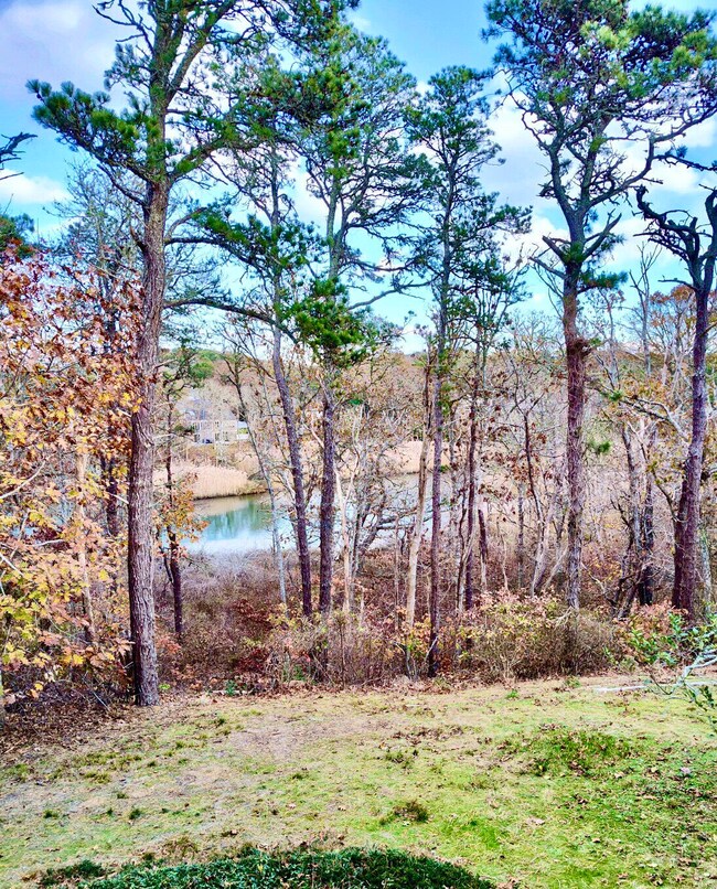 IMG_20221120_133010166_HDR