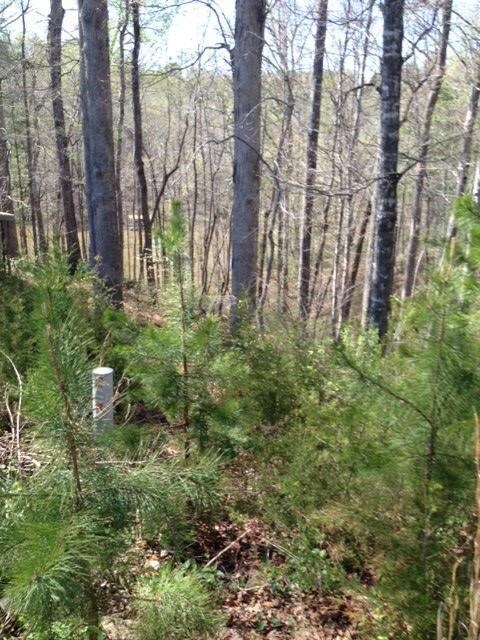 Lot 73 Waters Edge Ct unit 503 Waters Edge Ct., West Union, SC 29696 - photo 7