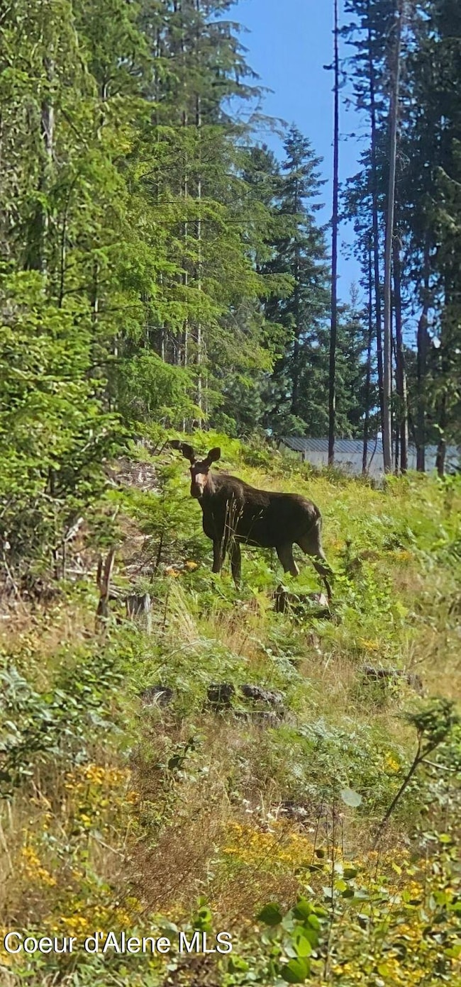 Kingston lot 3