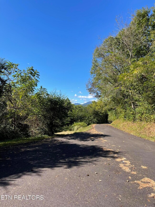 FCCD1CA4-2ADA-4CCA-AD4C-3268BFCC8B68