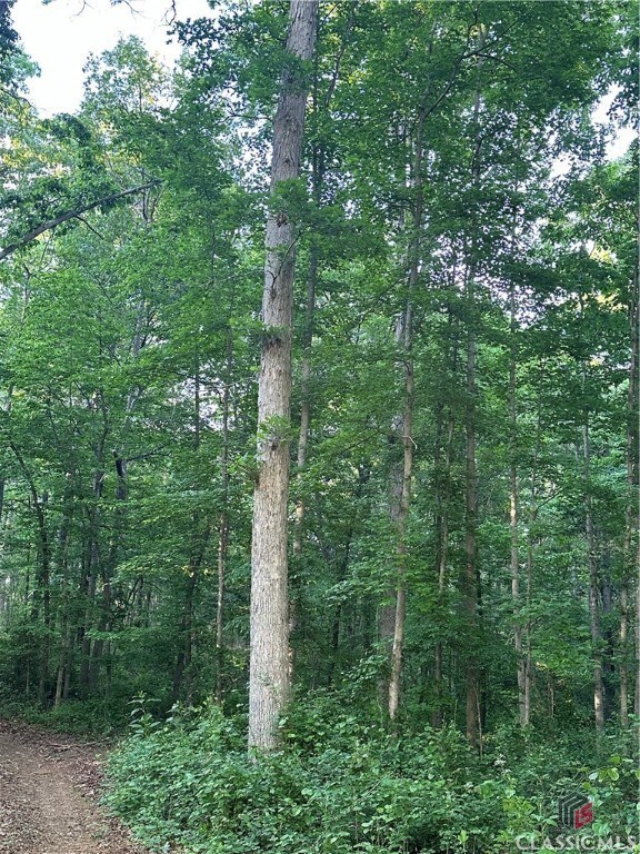 0 Hwy 106 unit 1016968, Hull, GA 30646 - photo 5