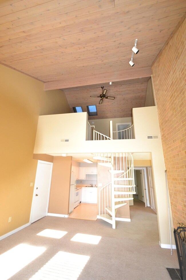 Looking Up to Loft