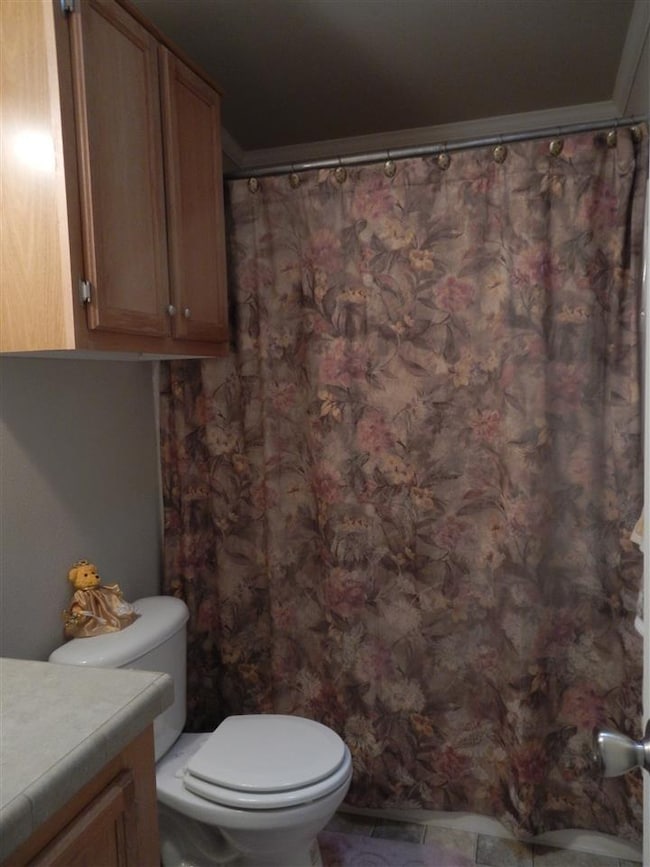 590 S 1st Place unit Timber Ridge, Show Low, AZ 85901 - photo 7