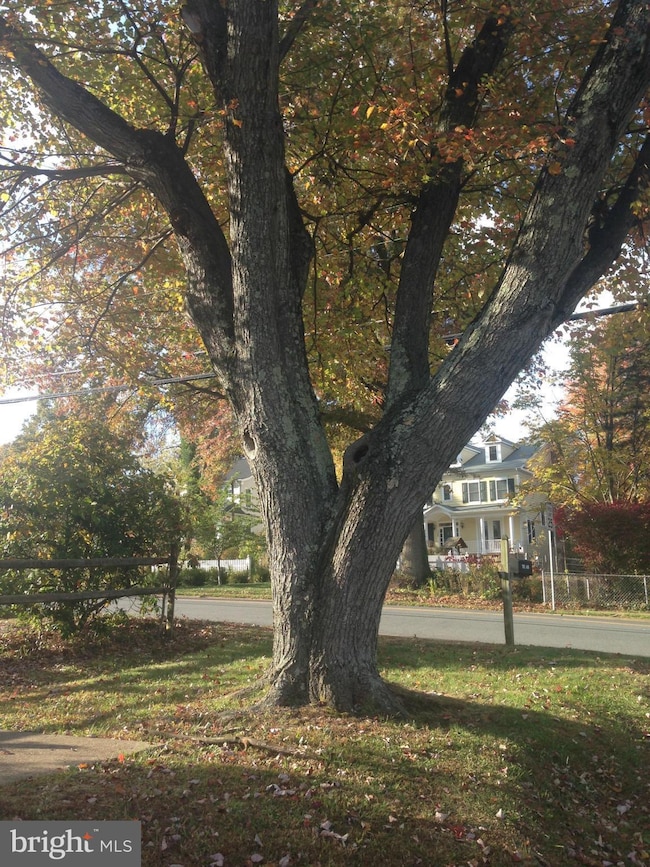 1101 Park St SE, Vienna, VA 22180 - photo 4