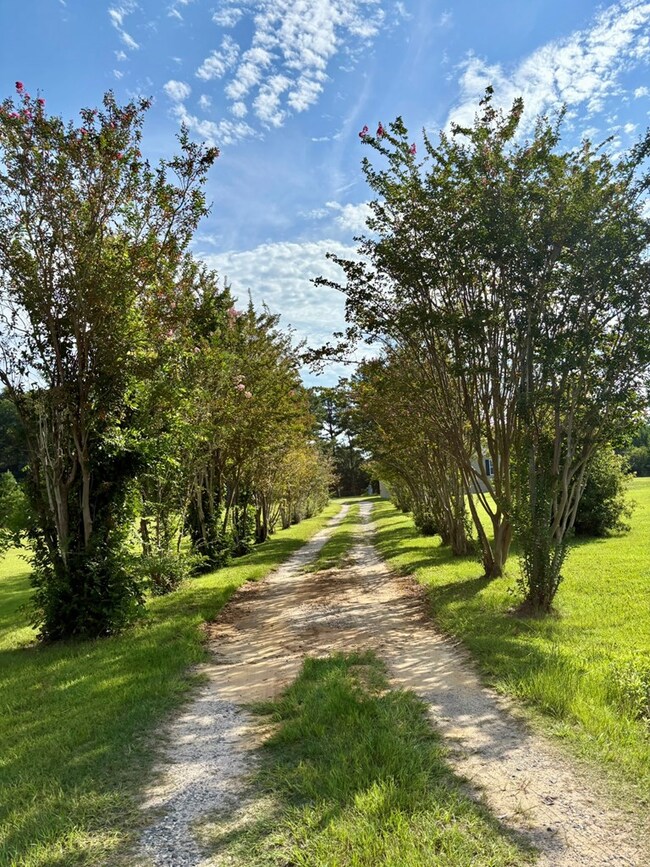 6115 Ruben St, Albany, GA 31705 - photo 2